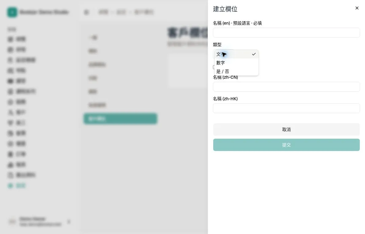 類型選單顯示文字、數字及是或否